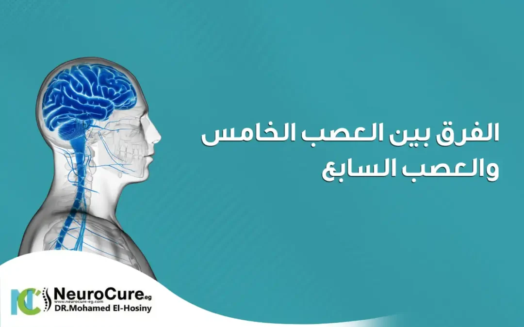 الفرق بين العصب الخامس والعصب السابع | الأعراض والأسباب 