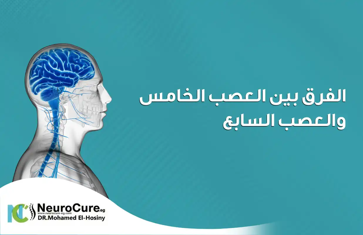 الفرق بين العصب الخامس والعصب السابع